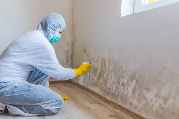 Crawl Space Mold Remediation treatment of floor joists in North Richland Hills